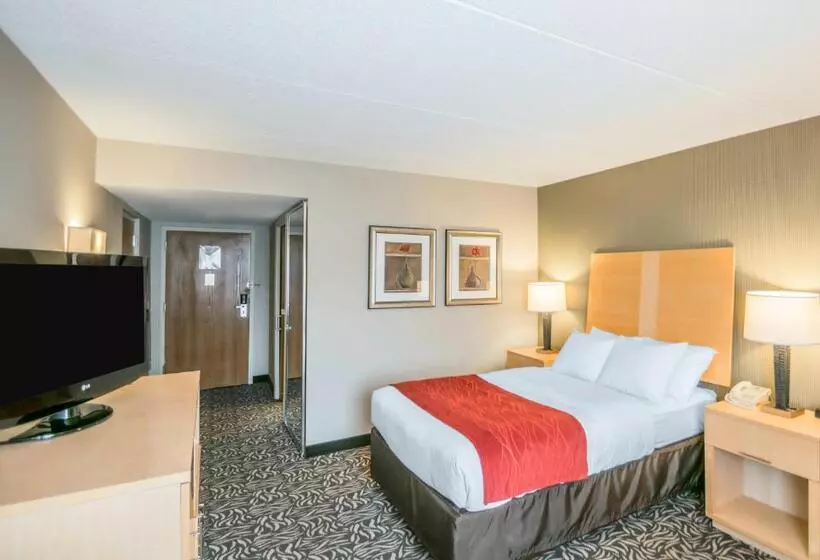 اتاق استاندارد برای معلولان, Comfort Inn Nys Fairgrounds