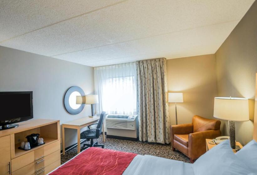 Стандартный Номер Кровать Кинг, Comfort Inn   Nys Fairgrounds