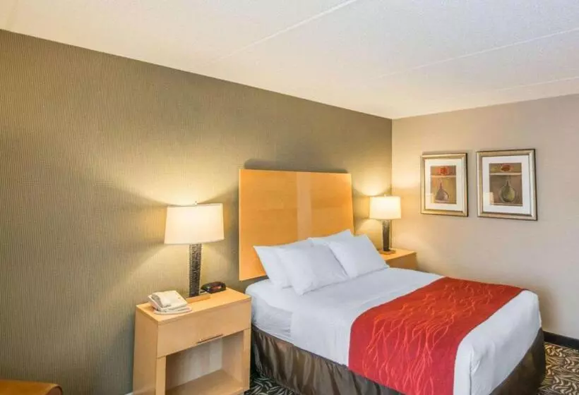 اتاق استاندارد با تخت دوبل برای معلولان, Comfort Inn Nys Fairgrounds