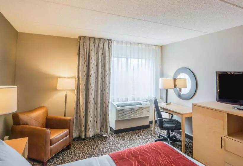 اتاق استاندارد با تخت دوبل برای معلولان, Comfort Inn Nys Fairgrounds