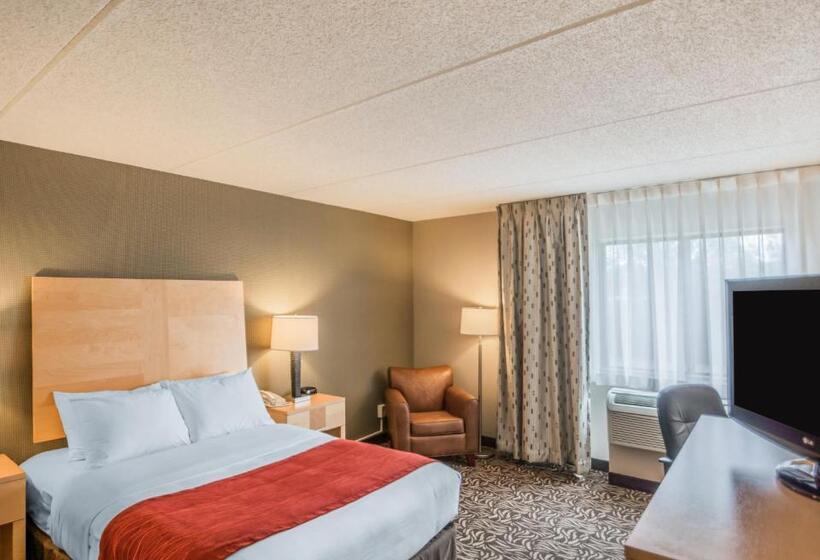 Номер Стандарт Двуспальная Кровать Адаптированный для Инвалидов, Comfort Inn   Nys Fairgrounds