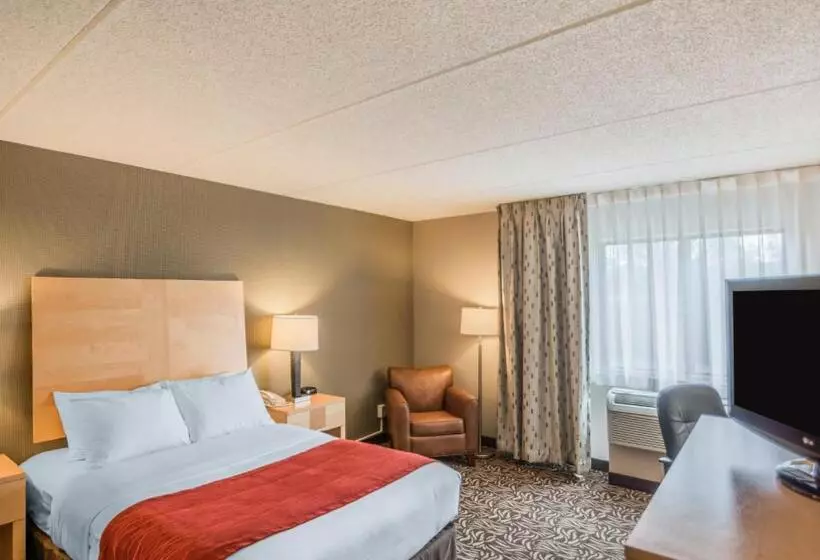 اتاق استاندارد با تخت دوبل برای معلولان, Comfort Inn Nys Fairgrounds