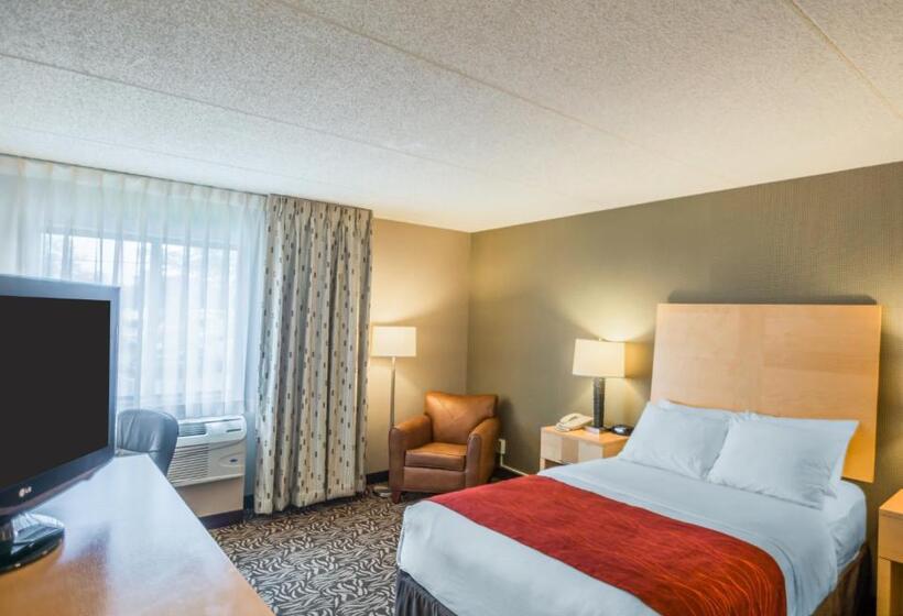 身障者適用ダブルベッド付きスタンダードルーム, Comfort Inn   Nys Fairgrounds