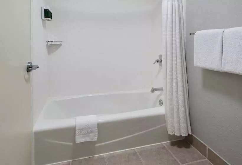 ２ダブルベッドのスタンダードルーム, Courtyard By Marriott Annapolis