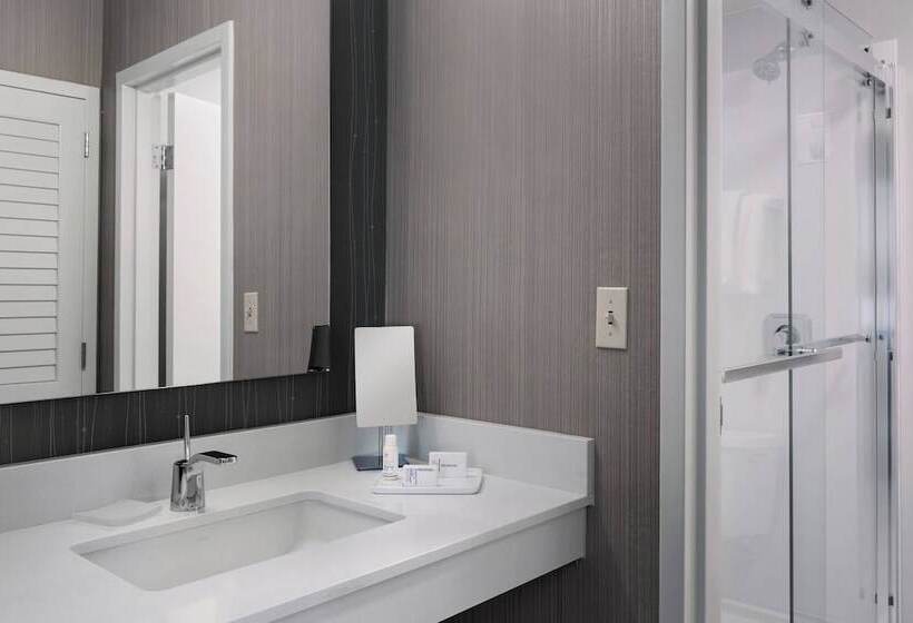 غرفه قياسيه سريرين مزدوجين, Courtyard Philadelphia Devon/villanova