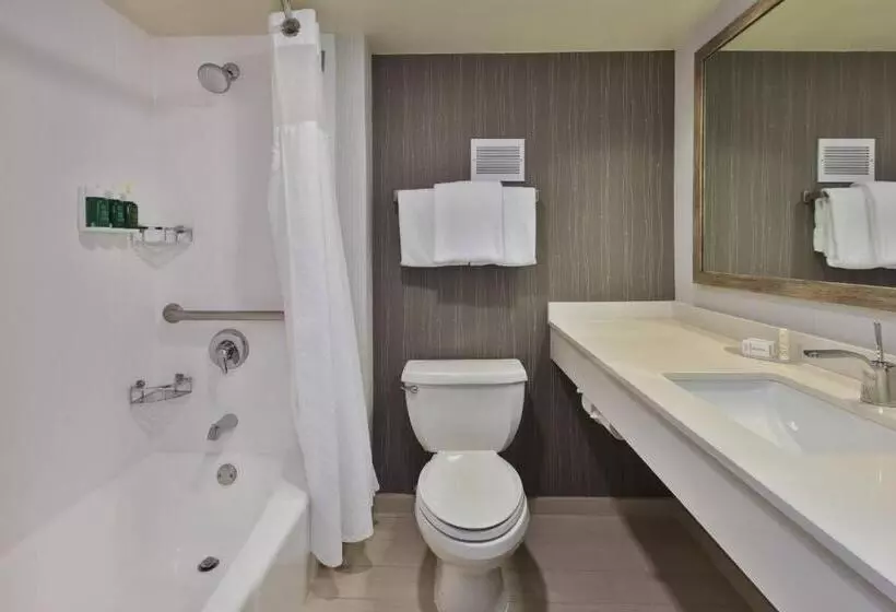 スタンダードルーム, Courtyard By Marriott Secaucus Meadowlands