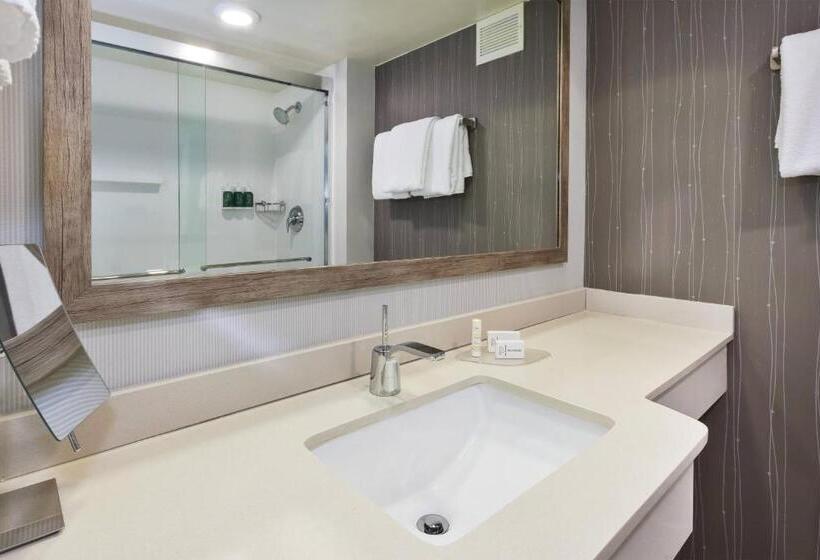 Номер Стандарт, Courtyard By Marriott Secaucus Meadowlands