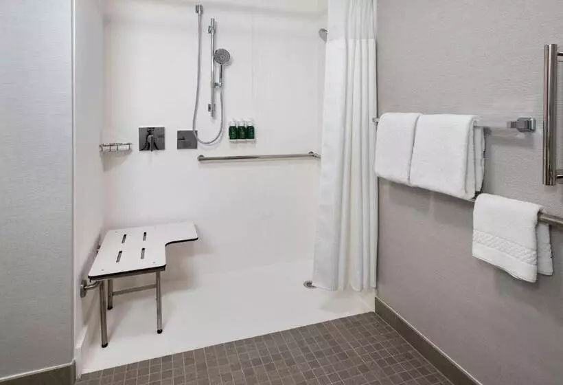 キングサイズベッドのスタンダードルーム, Courtyard By Marriott Silver Spring North/white Oak