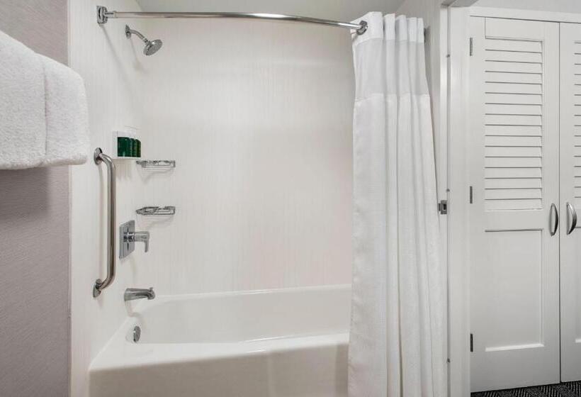 스탠다드 룸 킹사이즈 침대, Courtyard By Marriott Silver Spring North/white Oak