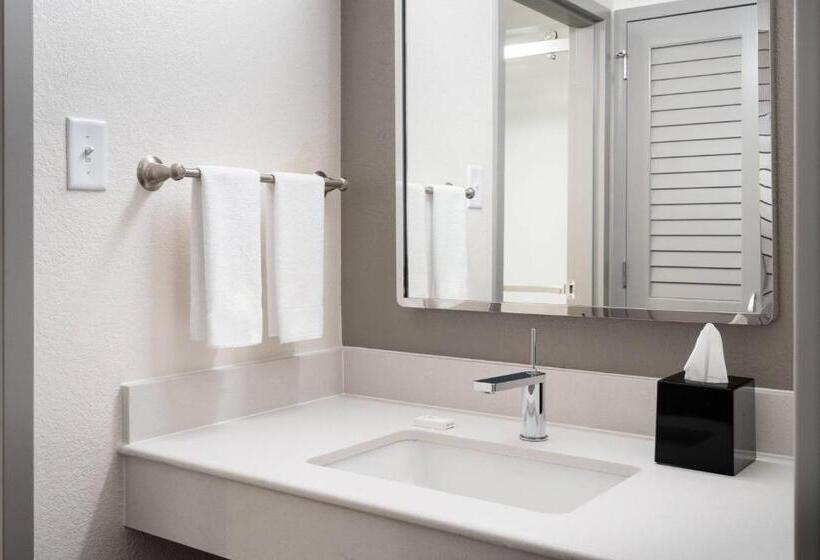 غرفة قياسية, Courtyard Tampa Westshore/airport