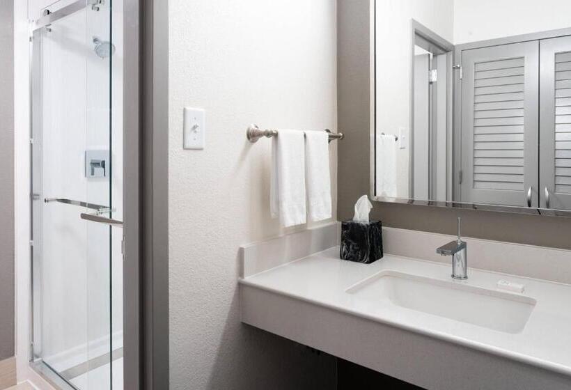 غرفه قياسيه سريرين مزدوجين, Courtyard Tampa Westshore/airport