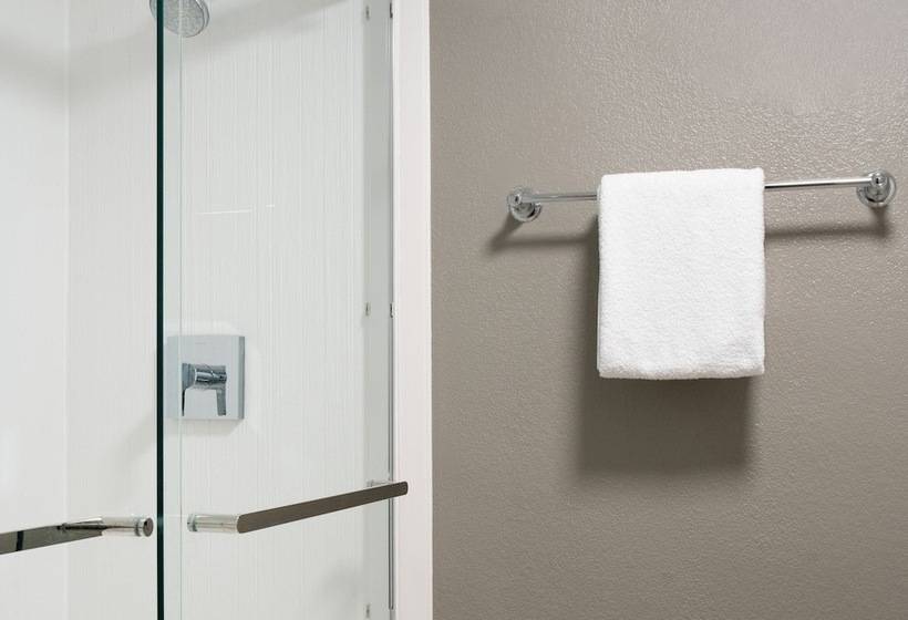 غرفه قياسيه سريرين مزدوجين, Courtyard Tampa Westshore/airport