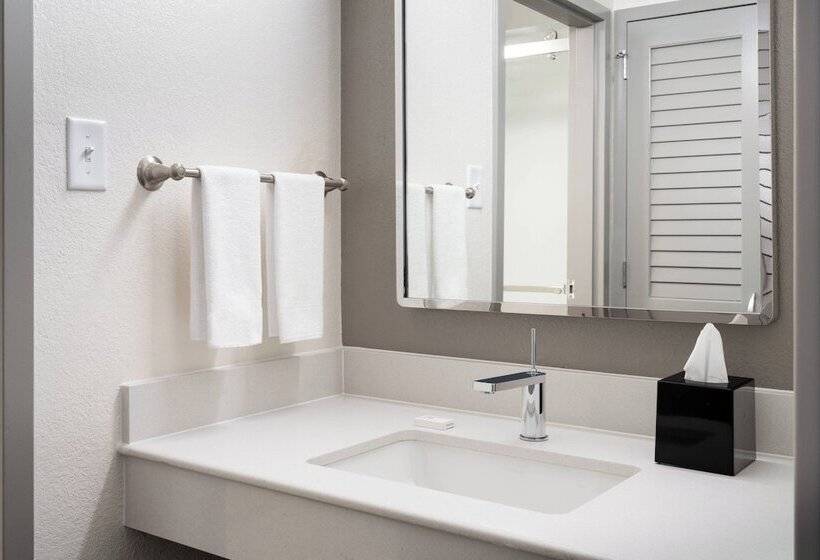 غرفه قياسيه سريرين مزدوجين, Courtyard Tampa Westshore/airport