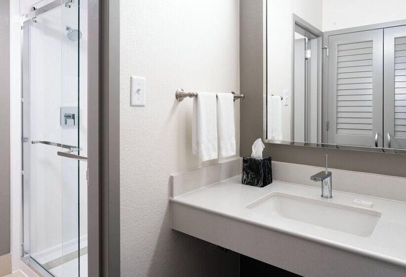 غرفه قياسيه سريرين مزدوجين, Courtyard Tampa Westshore/airport