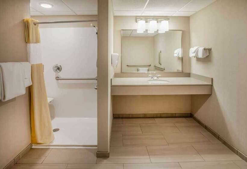 Номер Стандарт Адаптированный для Инвалидов, Days Inn & Suites By Wyndham Duluth By The Mall