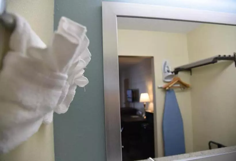 Standard-invahuone King-vuode, Days Inn By Wyndham Ladson Summerville Charleston