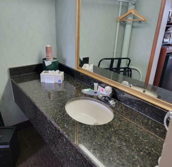 غرفه قياسيه سريرين مزدوجين, Downtown Inn