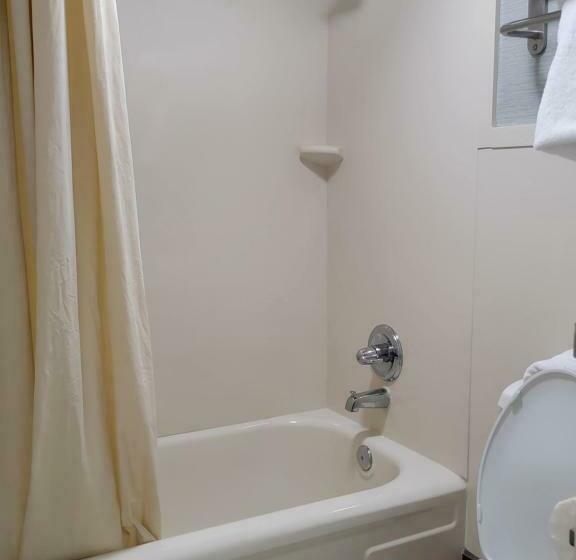 غرفه قياسيه سريرين مزدوجين, Downtown Inn