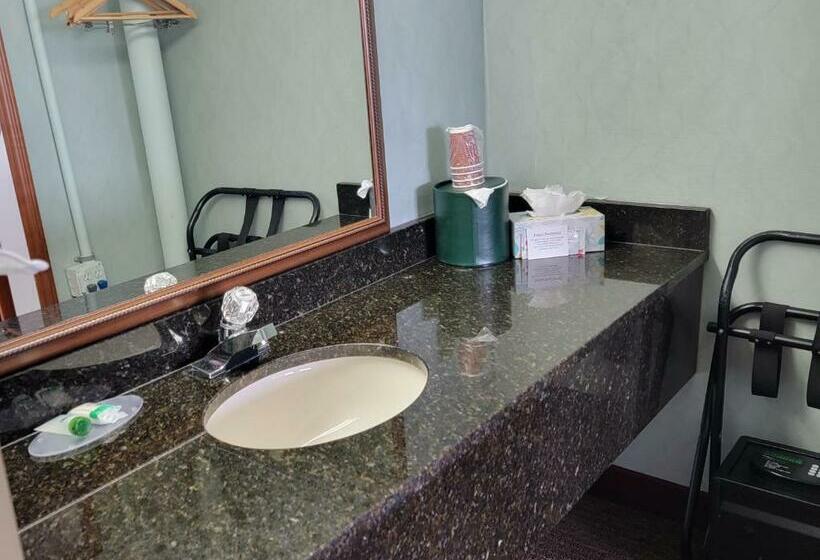 Номер Стандарт 2 Двуспальные Кровати, Downtown Inn