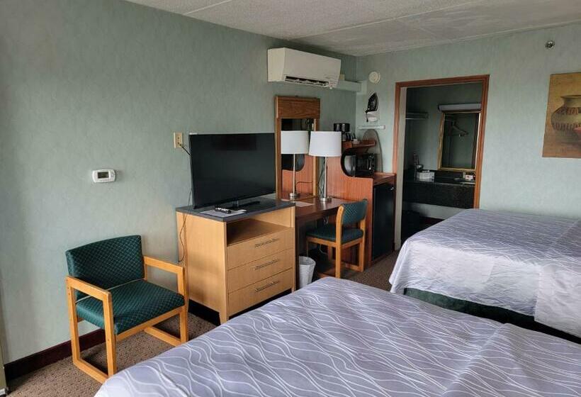 غرفه قياسيه سريرين مزدوجين, Downtown Inn