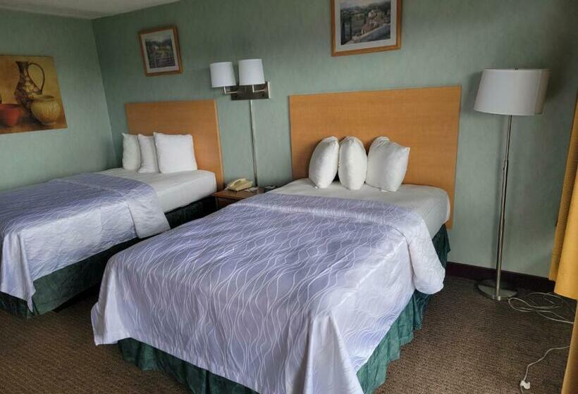 غرفه قياسيه سريرين مزدوجين, Downtown Inn