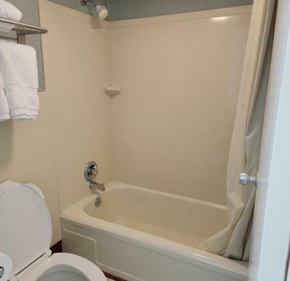 Стандартный Номер Кровать Кинг, Downtown Inn
