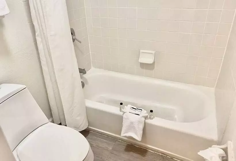 クラシックルーム, Garden Inn Homestead/everglades/gateway To Keys
