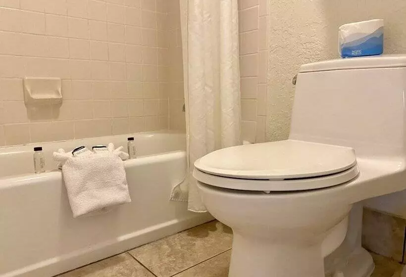 スーペリアールーム, Garden Inn Homestead/everglades/gateway To Keys
