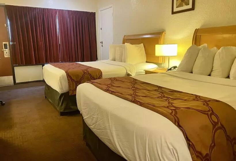 スーペリアールーム, Garden Inn Homestead/everglades/gateway To Keys