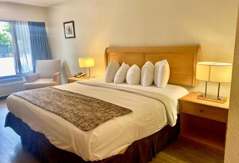 חדר קלאסי מיטת קינג סייז, Garden Inn Homestead/everglades/gateway To Keys