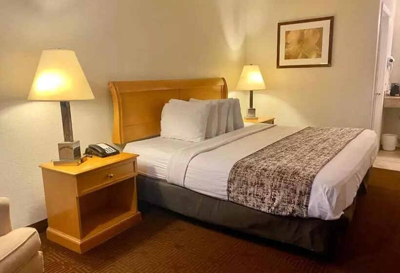 キングサイズベッドのスーペリアルーム, Garden Inn Homestead/everglades/gateway To Keys