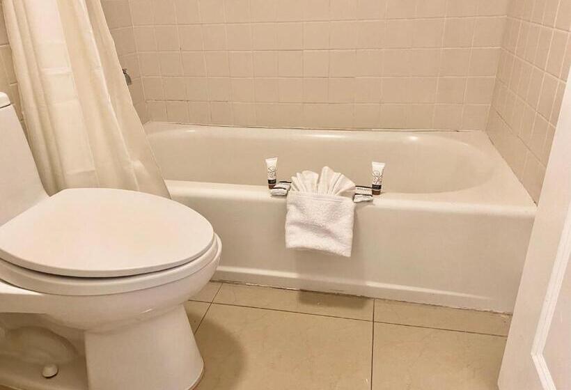 غرفة ديلوكس سرير كينج, Garden Inn Homestead/everglades/gateway To Keys