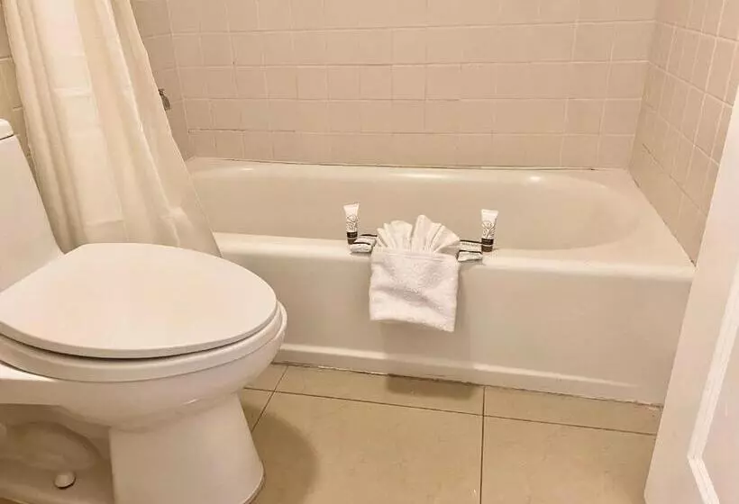 キングサイズベッドのデラックスルーム, Garden Inn Homestead/everglades/gateway To Keys
