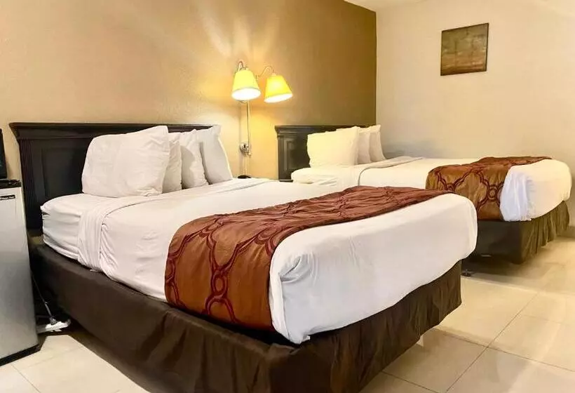 身障者適用スタンダードルーム, Garden Inn Homestead/everglades/gateway To Keys