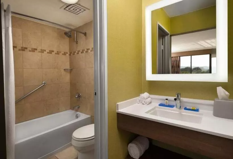 2ダブルベッドのスタンダードルーム, Holiday Inn Express At Monterey Bay, An Ihg