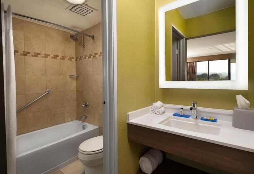 غرفة قياسية سرير كينج, Holiday Inn Express At Monterey Bay, An Ihg