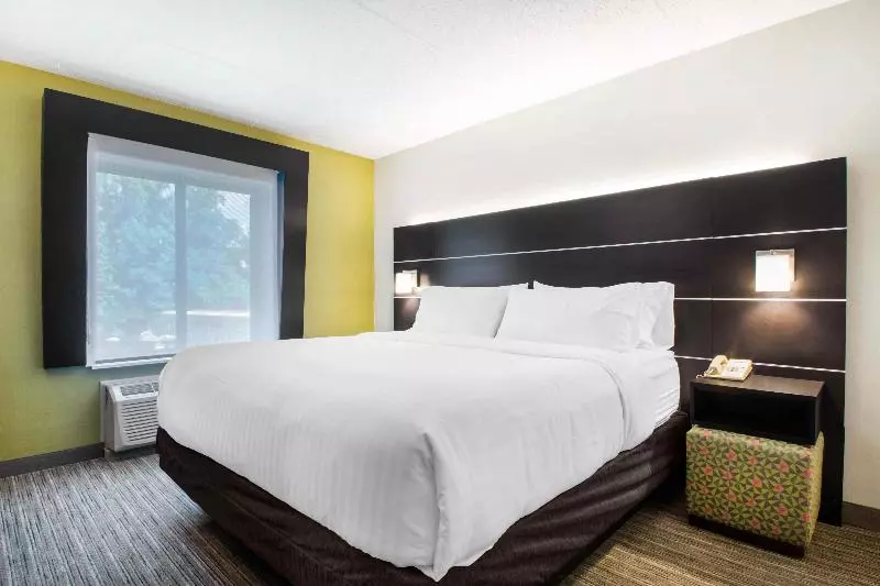 سوییت, Holiday Inn Express & Suites Albany Airport Wolf Road, An Ihg