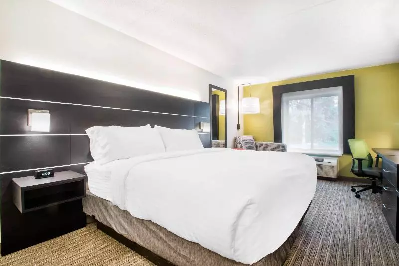 اتاق استاندارد با تخت بزرگ, Holiday Inn Express & Suites Albany Airport Wolf Road, An Ihg