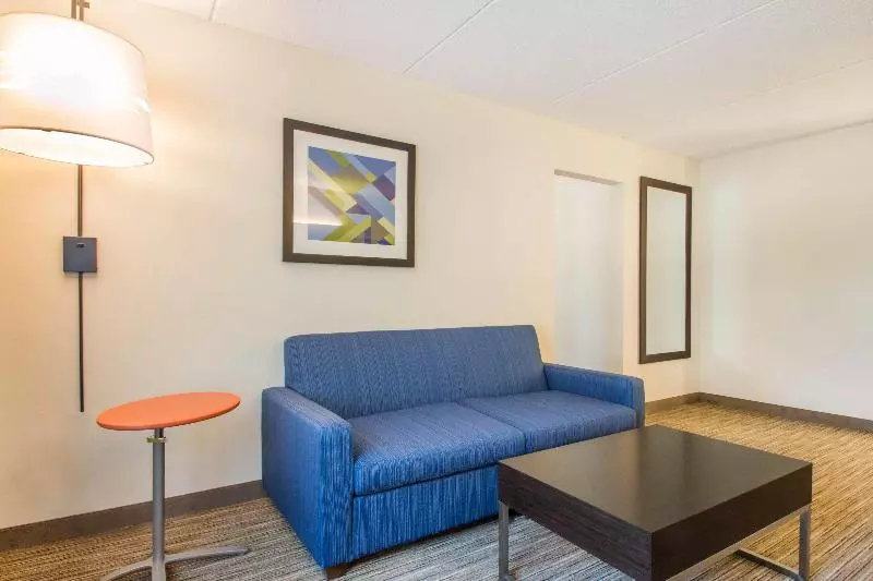 سوییت, Holiday Inn Express & Suites Albany Airport Wolf Road, An Ihg