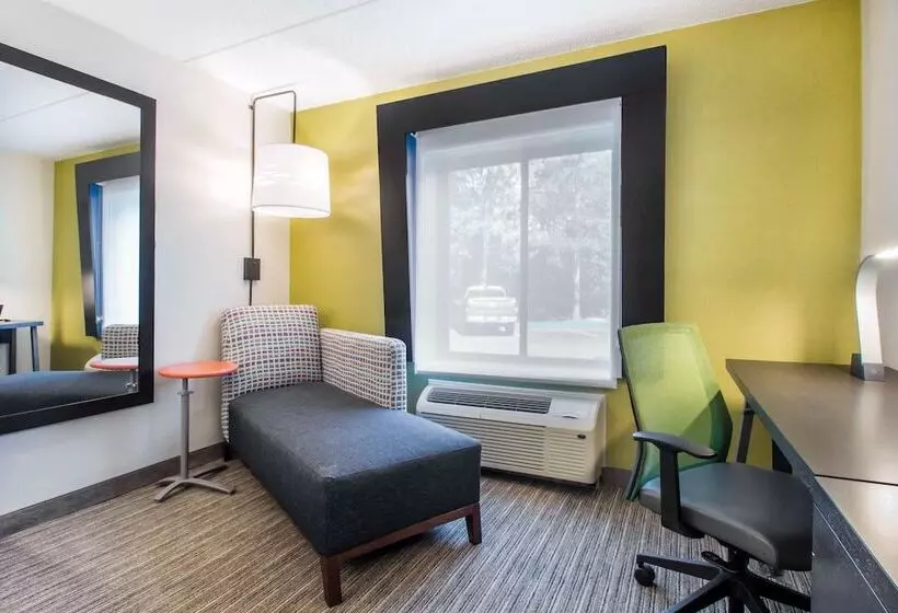 اتاق استاندارد, Holiday Inn Express & Suites Albany Airport Wolf Road, An Ihg