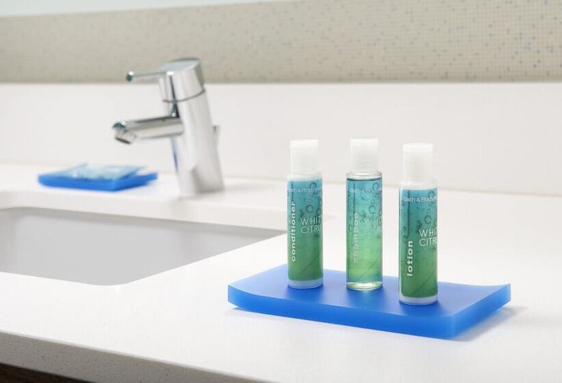 장애인을 위한 스위트, Holiday Inn Express & Suites College Park University Area, An Ihg