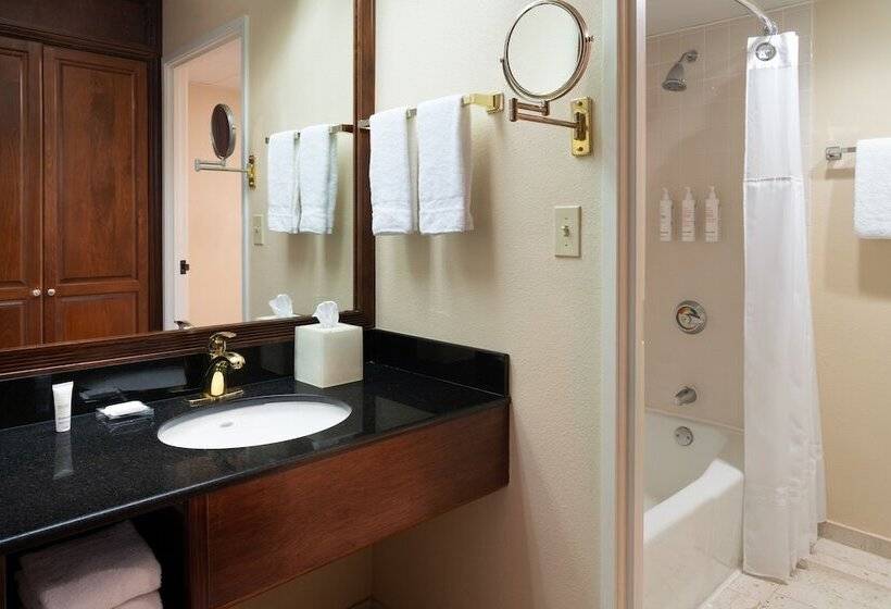 غرفه قياسيه سريرين مزدوجين, Miami Marriott Dadeland