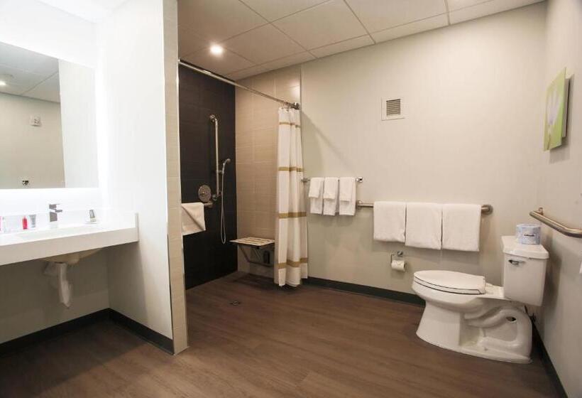 带大床的标准间, Miami Marriott Dadeland