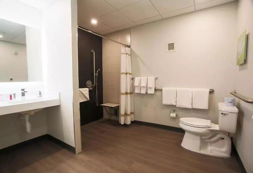 اتاق استاندارد با تخت بزرگ, Miami Marriott Dadeland