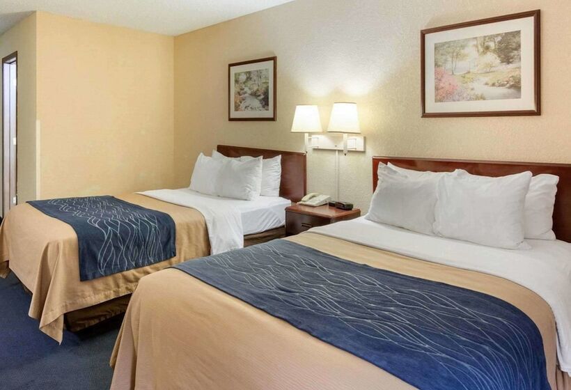 غرفه قياسيه سريرين مزدوجين, Quality Inn University Area