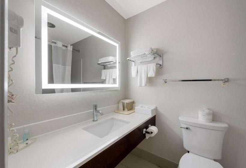 غرفه قياسيه سريرين مزدوجين, Quality Inn University Area