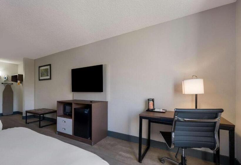 غرفه قياسيه سريرين مزدوجين, Quality Inn University Area