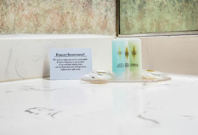 Стандартный Номер Кровать Кинг, Quality Inn University Area