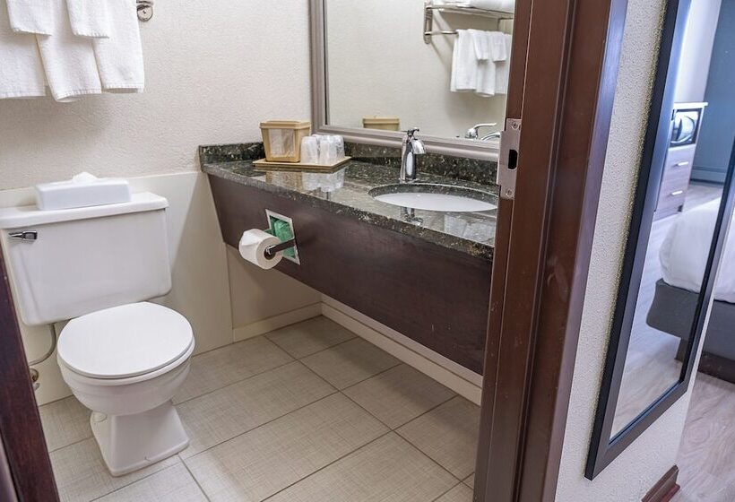 스탠다드 룸 더블 침대 2개, Quality Inn Milansandusky