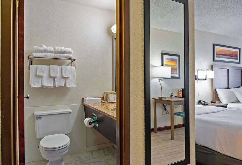 חדר סטנדרט שתי מיטות זוגיות, Quality Inn Milansandusky